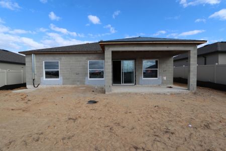 New construction Single-Family house 12263 Hilltop Farms Dr, Dade City, FL 33525 Sentinel- photo 37 37