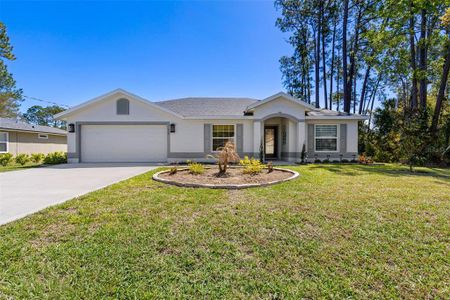 New construction Single-Family house 114 Brunswick Ln, Palm Coast, FL 32137 - image