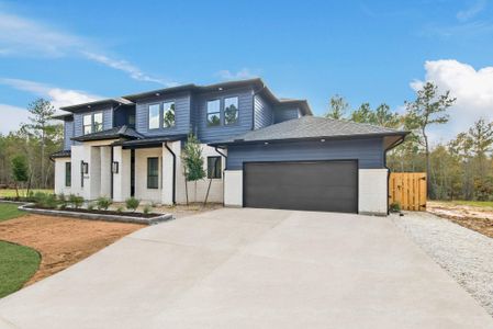 New construction Single-Family house 41631 Wendele Wy, Todd Mission, TX 77316 - image