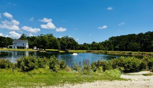 New construction Single-Family house 2930 Lodge Berry Ln, Johns Island, SC 29455 plan The Roxy - image 14