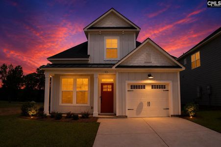 New construction Single-Family house 328 Conductor Ln, Irmo, SC 29063 plan Briarwood II - image