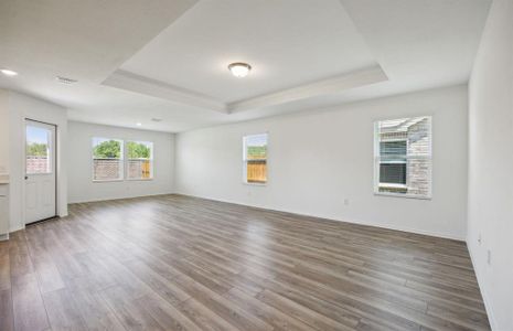 Tray ceiling in gathering room*real home pictured