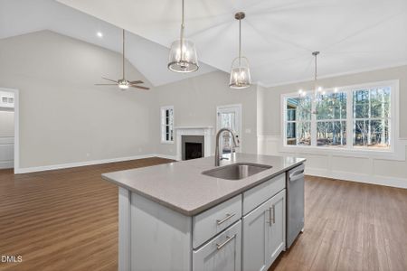 New construction Single-Family house 50 Lilac Dr, Franklinton, NC 27525 - image 5