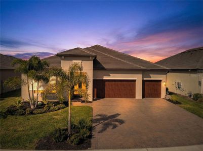 New construction Single-Family house 12207 Violet Jasper Dr, Parrish, FL 34219 - image