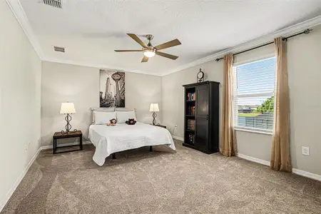 New construction Single-Family house 4902 Eagle Rock Dr, Wimauma, FL 33598 plan Mira Lago - image 9