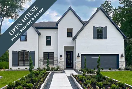 New construction Single-Family house 925 Violet Sunset Dr, Georgetown, TX 78628 plan The Carter IX - image