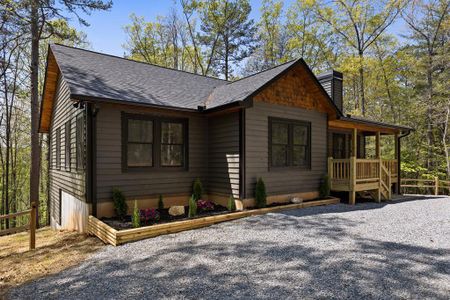 New construction Single-Family house 150 Williams Branch Dr, Morganton, GA 30560 - image