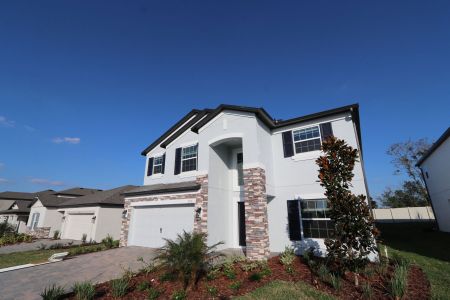 New construction Single-Family house 12176 Hilltop Farms Dr, Dade City, FL 33525 Malibu- photo 162 162