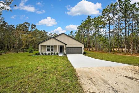 New construction Single-Family house 16007 Magpie Rd, Weeki Wachee, FL 34614 plan Juliet  - image