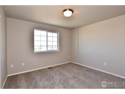 New construction Single-Family house 406 Aurelia Dr, Windsor, CO 80550 null- photo 22 22