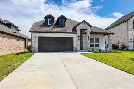 New construction Single-Family house 13869 Riola Dr, Little Elm, TX 75068 - image