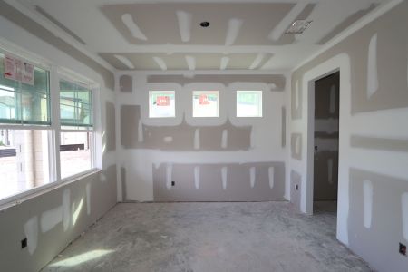 New construction Single-Family house 20131 Oriana Loop, Land O' Lakes, FL 34638 Sonoma II- photo 85 85