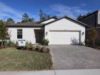 New construction Single-Family house 12915 Castle Oaks Dr, Hudson, FL 34669 plan Sentinel - image