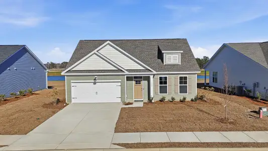 New construction Single-Family house 161 River Birch Dr, Unit 155, Loris, SC 29569 - image