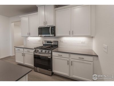 New construction Single-Family house 3166 Robud Farms Dr Ft, Fort Collins, CO 80524 - image 10