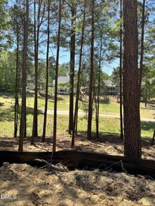 New construction Single-Family house 45 Quail Pt, Pittsboro, NC 27312 plan R1 - image 17