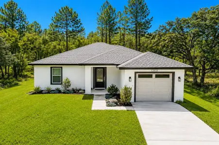 New construction Single-Family house 12151 Sora Ave, Brooksville, FL 34614 - image