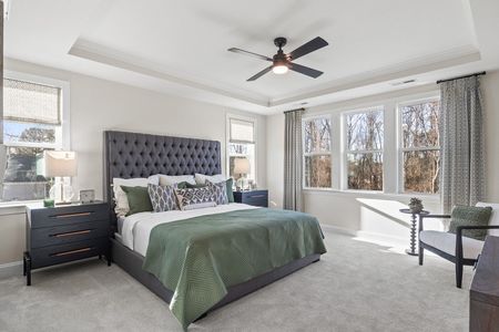 New construction Single-Family house 9101 Dupree Meadow Dr, Angier, NC 27501 plan The Hampton - image 15