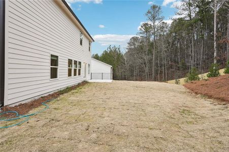 New construction Single-Family house 169 Ivey Township Dr, Dallas, GA 30132 Johnson- photo 57 57