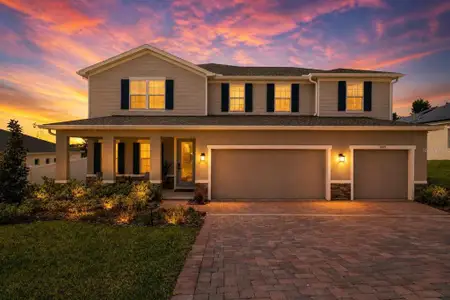 New construction Single-Family house 3009 Robles Rd, Clermont, FL 34711 - image