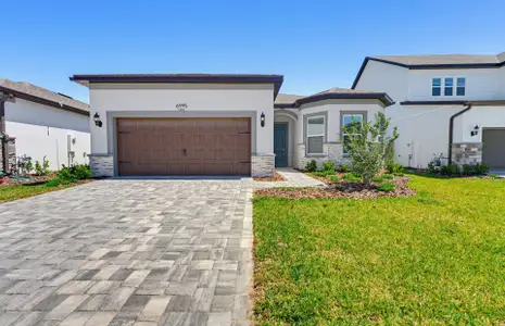 New construction Single-Family house 6995 Depue Dr, Wesley Chapel, FL 33545 plan Mystique - image