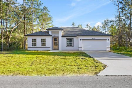 New construction Single-Family house 6770 Sw 149Th Lane Road, Ocala, FL 34473 - photo 0