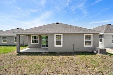 New construction Single-Family house 2551 Mariah Pl, Lake Alfred, FL 33850 Biscayne- photo 19 19