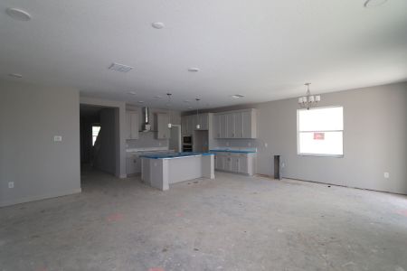 New construction Single-Family house 31236 Denham Ridge Ln, Wesley Chapel, FL 33545 Santa Monica- photo 83 83