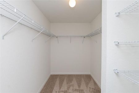 New construction Single-Family house 4631 San Lorenzo Dr, Sebring, FL 33872 - image 13