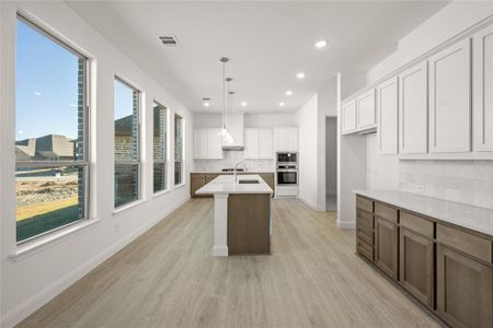 New construction Single-Family house 1008 Emerald Trace Dr, Justin, TX 76247 Monte Carlo - photo 7 7