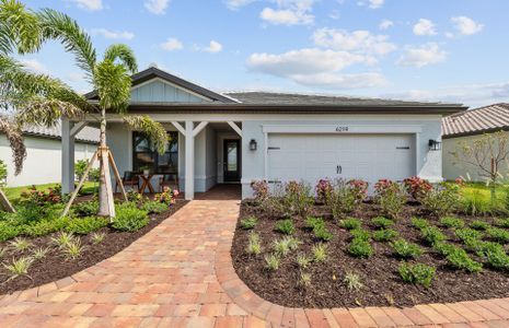 New construction Single-Family house 6231 Liberty St, Ave Maria, FL 34142 plan Prosperity - image