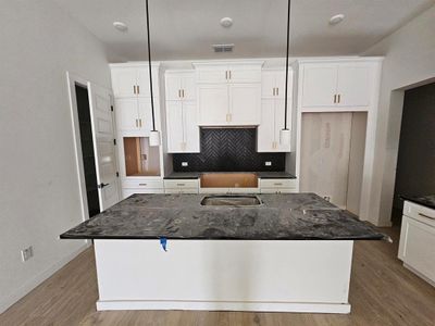 New construction Condo house 4212 Endurance Way, Austin, TX 78731 Palmetto A- photo 8 8