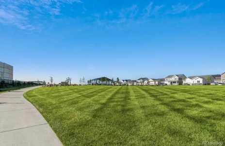 New construction Single-Family house Roaring Fork St, Brighton, CO 80601 - photo 0