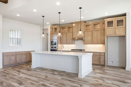 New construction Single-Family house 167 Pradera Ridge Dr, Floresville, TX 78114 - image 6