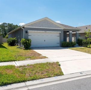New construction Single-Family house 2733 Reddish Egret Bnd, Harmony, FL 34773 - image
