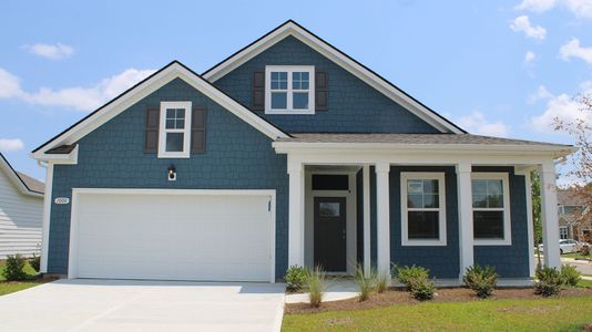 New construction Single-Family house 2095 Marietta Cir, Ash, NC 28420 plan Dover - image