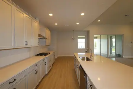 New construction Single-Family house 3193 Wolf Lake Ave, Apopka, FL 32712 plan Brookhaven Fl - image