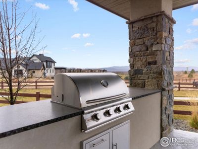 New construction Single-Family house 3650 Tall Grass Ct, Timnath, CO 80547 - image 4
