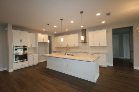 New construction Single-Family house 17030 Overstory Rd, Orlando, FL 32820 plan Grandview Sl - image 10