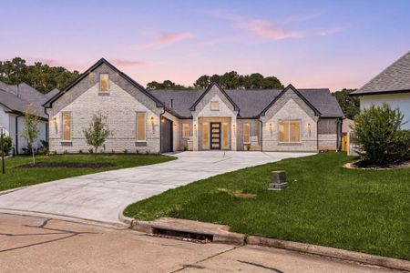 New construction Single-Family house 71 Camden Hills Dr, Montgomery, TX 77356 - image