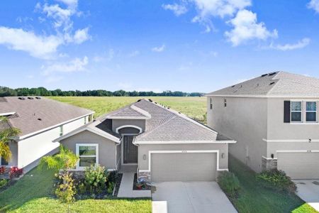 New construction Single-Family house 33570 Darley Dale Trl, Wesley Chapel, FL 33545 plan Allex II - image