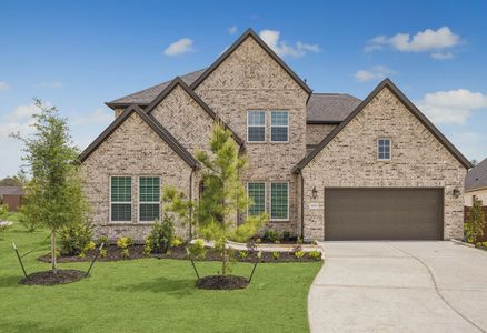 New construction Single-Family house 16507 Verbena Glen Dr, Hockley, TX 77447 plan 5072 - image 18