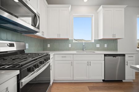 New construction Single-Family house 168 Rieber Rd, Kyle, TX 78640 plan Paintbrush - image 4