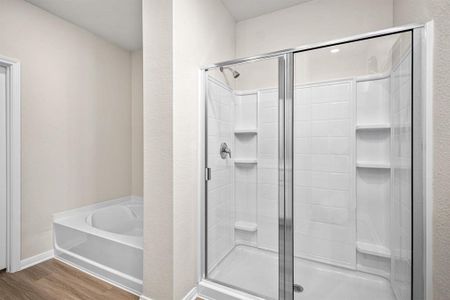 Master Bathroom with a luxurious soaking tub and shower.