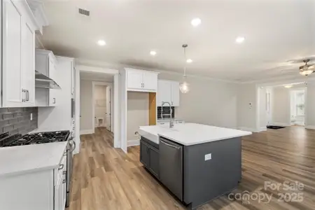 New construction Single-Family house 259 Luray Wy, Unit 443, Rock Hill, SC 29730 - image 5