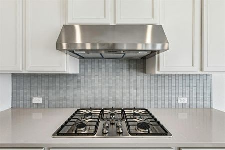 New construction Single-Family house 17305 Silverman Dr, Pflugerville, TX 78660 - image 18