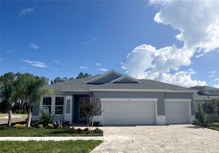 New construction Single-Family house 207 Hawthorn Avenue, Palm Coast, FL 32164 The Stafford- photo 0