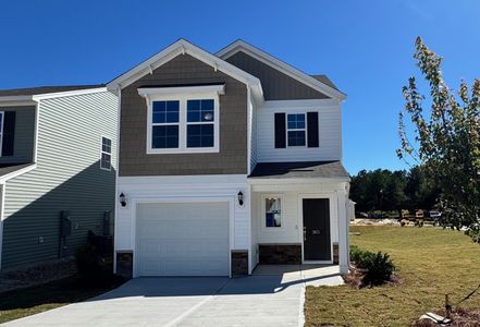 New construction Single-Family house 3973 Golden Crane Pass, Lexington, SC 29073 plan Dawson - image