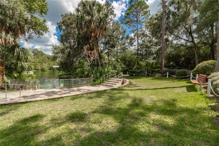 New construction Single-Family house 19610 Sw 93Rd Pl, Dunnellon, FL 34432 null- photo 48 48