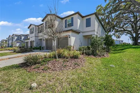 New construction Townhouse house 36456 Well Hill Wy, Zephyrhills, FL 33541 - image